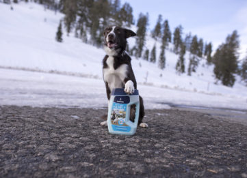 MORTON SALT UNLEASHES OFFICIAL “BARK TO ACTION” WITH NEW PET SAFETY CAMPAIGN